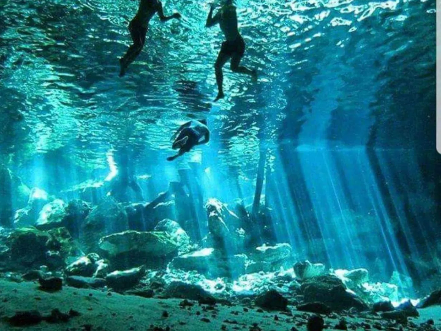 Loft Cabins In Cenotes Natural Park Tulum