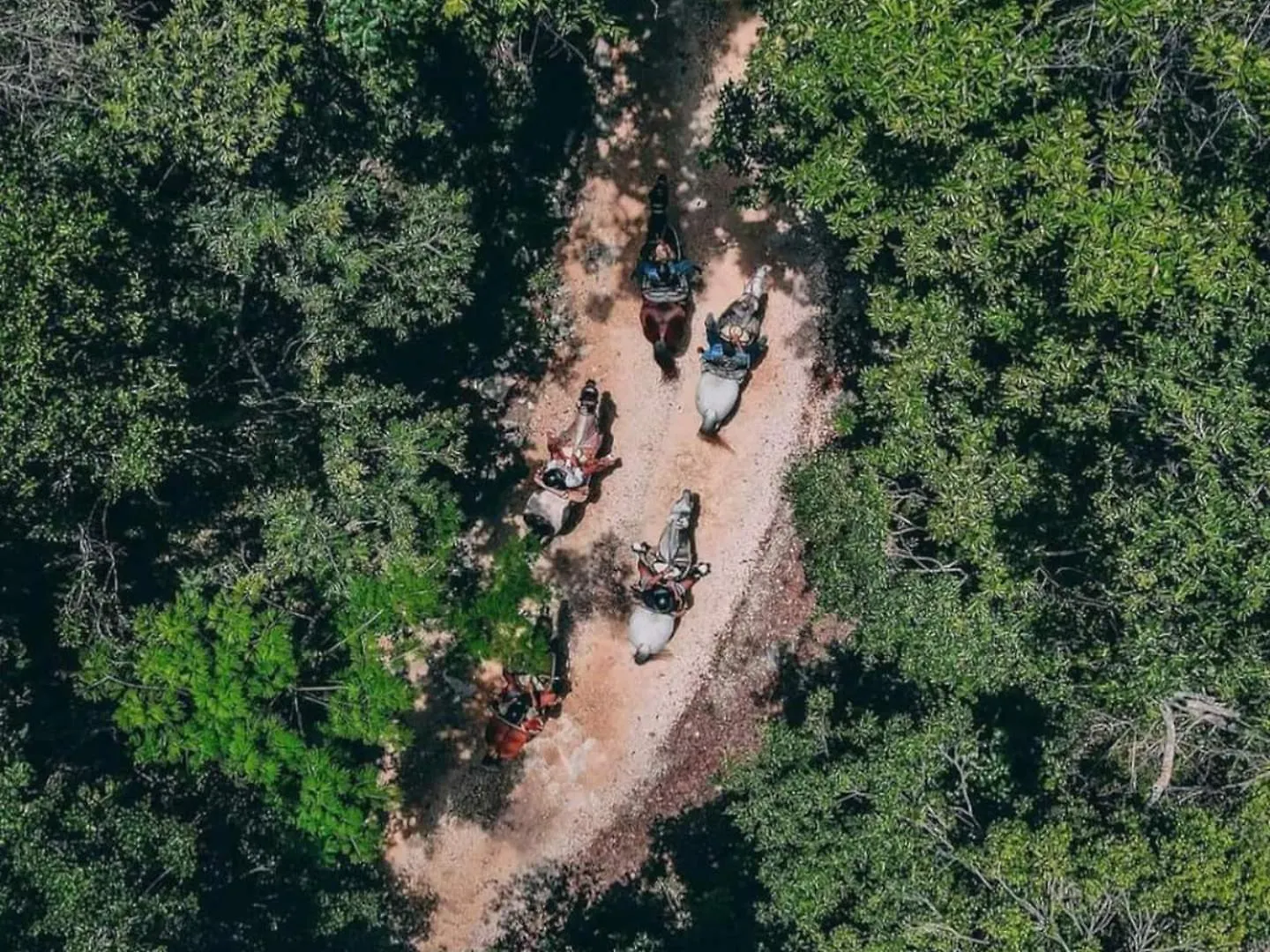 Loft Cabins In Cenotes Natural Park Tulum