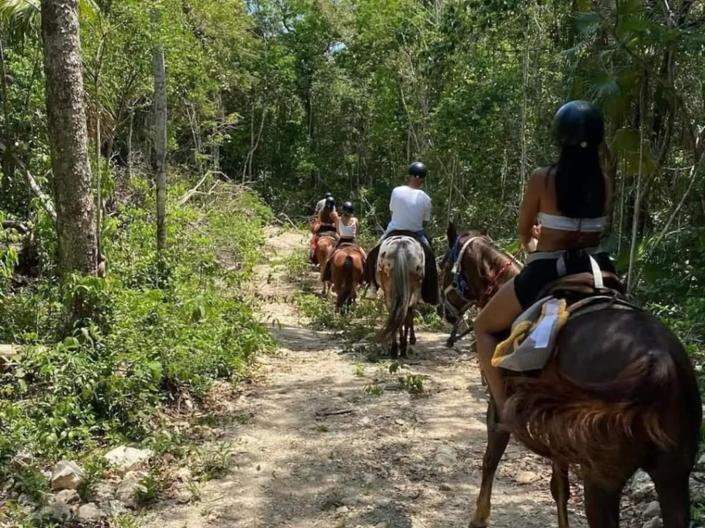 Holiday home Loft Cabins In Cenotes Natural Park Tulum